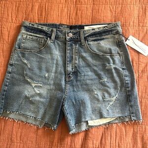 NWOT Treasure & Bond Foster Boyfriend High-Rise Shorts